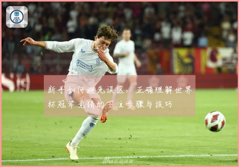 新手如何避免误区，正确理解世界杯冠军竞猜的下注步骤与技巧