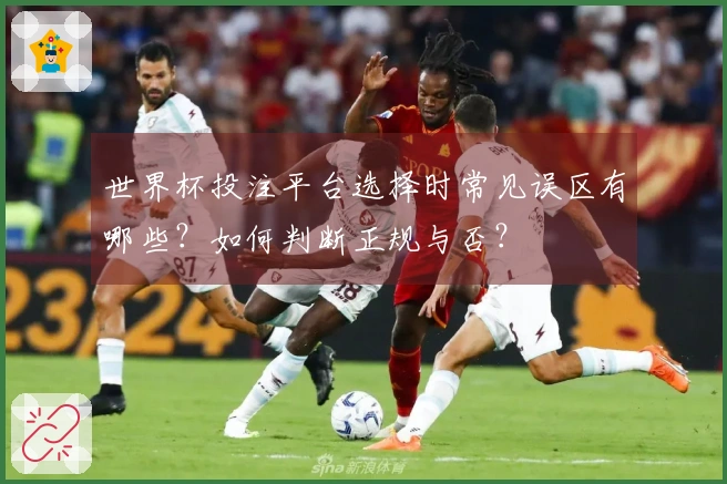 世界杯投注平台选择时常见误区有哪些？如何判断正规与否？