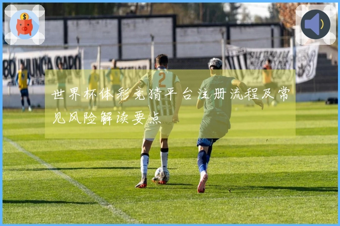 世界杯体彩竞猜平台注册流程及常见风险解读要点