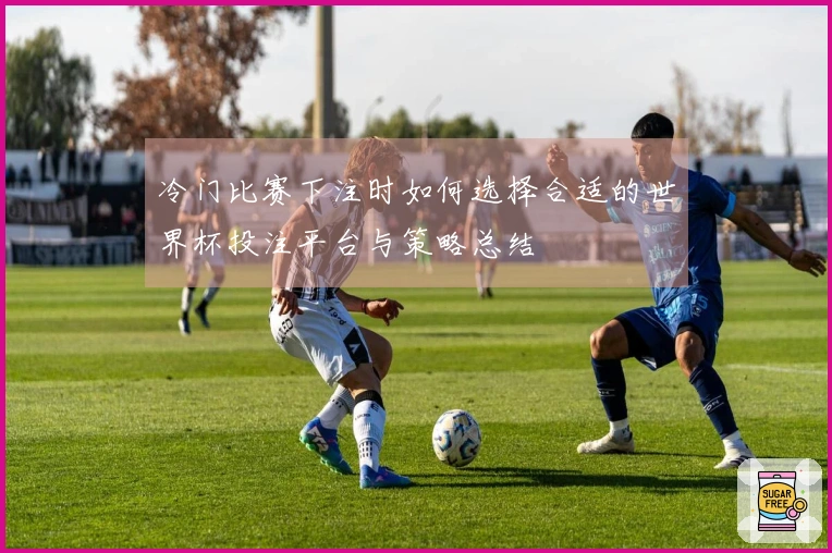 冷门比赛下注时如何选择合适的世界杯投注平台与策略总结