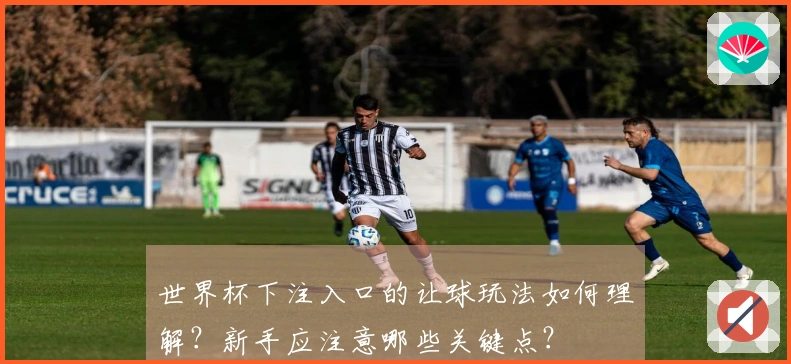 世界杯下注入口的让球玩法如何理解？新手应注意哪些关键点？