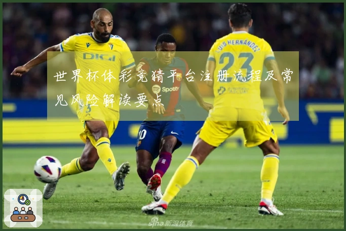 世界杯体彩竞猜平台注册流程及常见风险解读要点