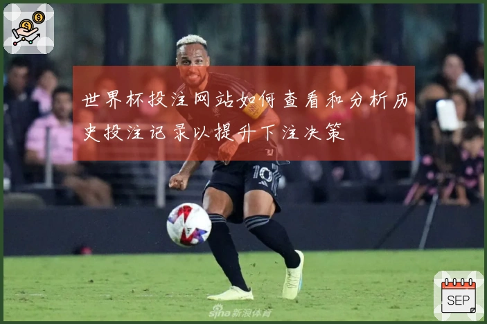 世界杯投注网站如何查看和分析历史投注记录以提升下注决策