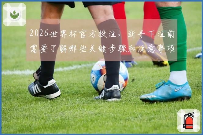 2026世界杯官方投注，新手下注前需要了解哪些关键步骤和注意事项