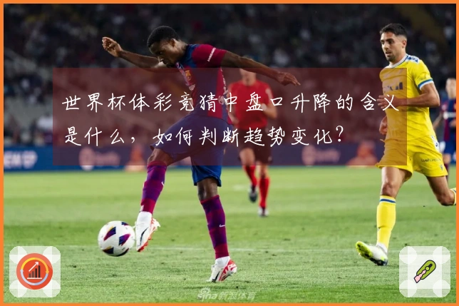 世界杯体彩竞猜中盘口升降的含义是什么，如何判断趋势变化？