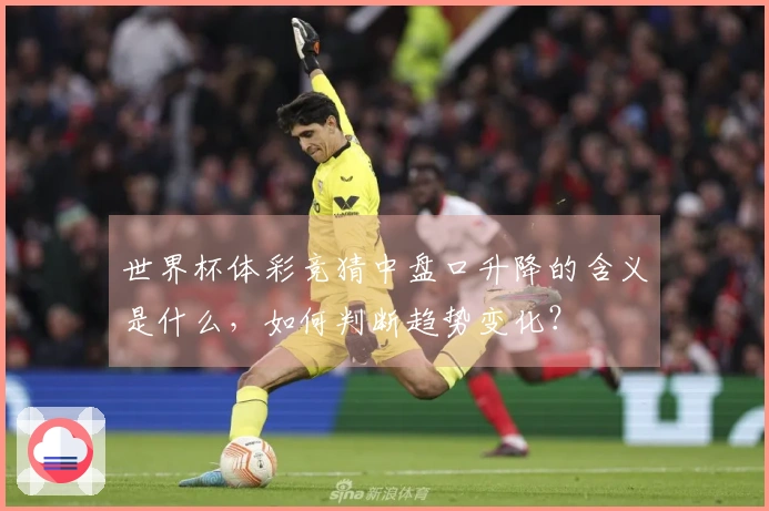 世界杯体彩竞猜中盘口升降的含义是什么，如何判断趋势变化？